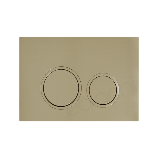 Round In-Wall Toilet Dual Flushing Buttons Brushed Gold