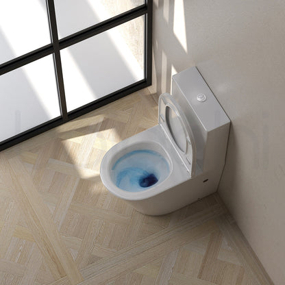 Baiachi Involution Tornado Toilet Suite with BTW2 Pipe