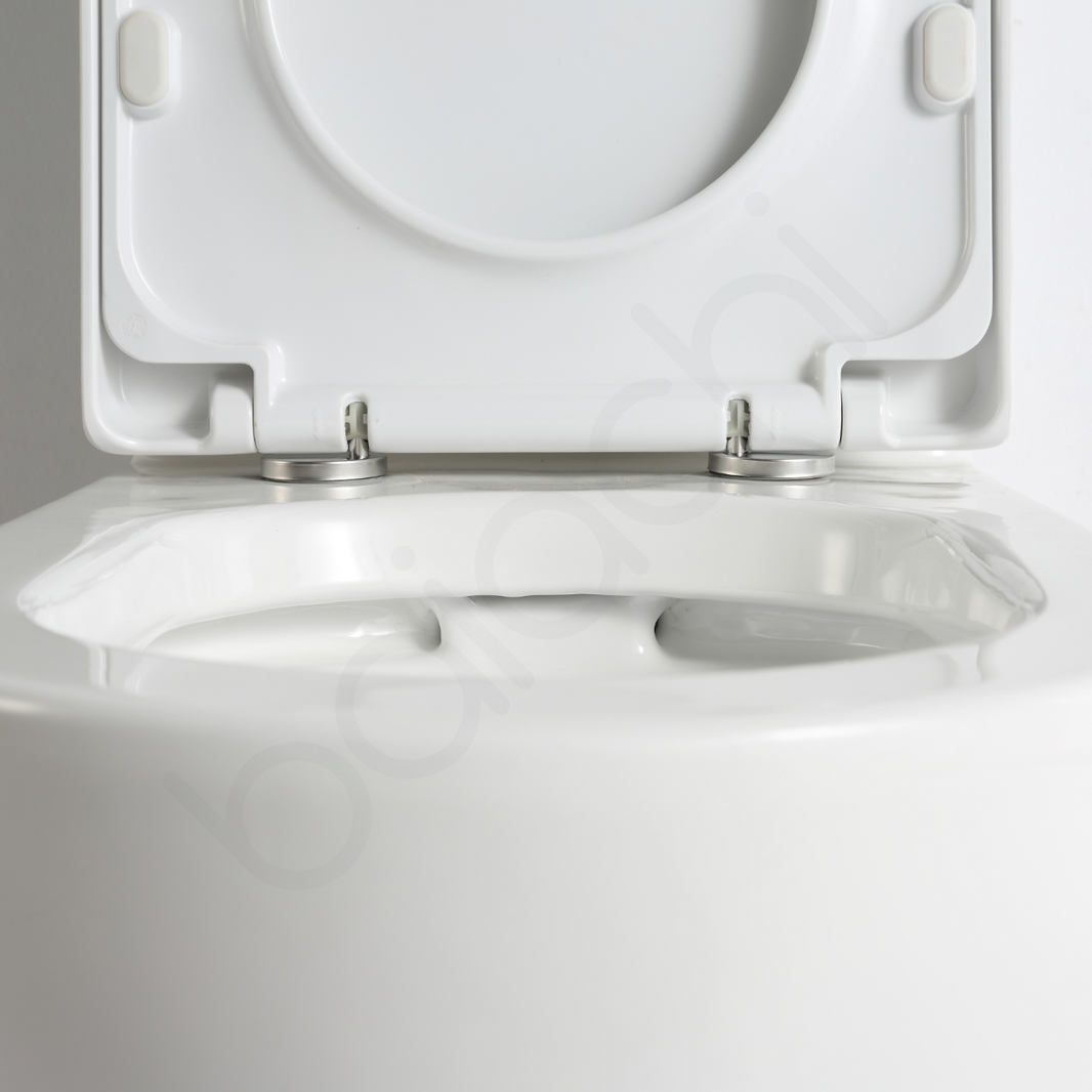 Carlton Rimless Bathroom Toilet Suite Ceramic Back To Wall Soft Close