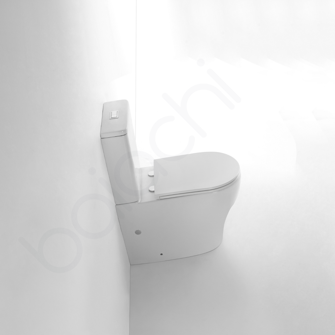 Carlton Rimless Bathroom Toilet Suite Ceramic Back To Wall Soft Close